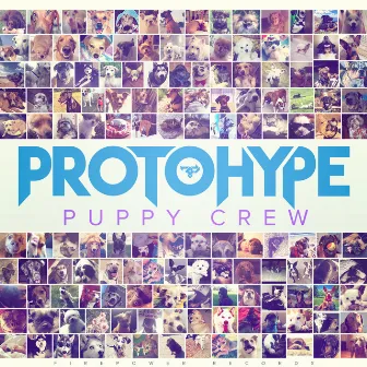 Puppy Crew by Protohype