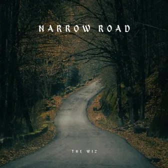 Narrow Road by The Wiz