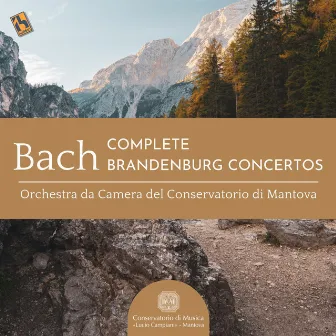 Bach: Complete Brandenburg Concertos by Orchestra da Camera del Conservatorio di Mantova