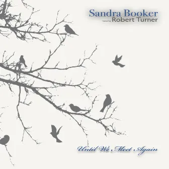 Until We Meet Again by Sandra Booker