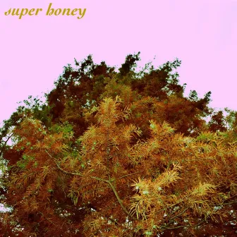 Super Honey by Haresha