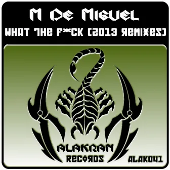 What The Fuck (2013 Remixes) by M De Miguel