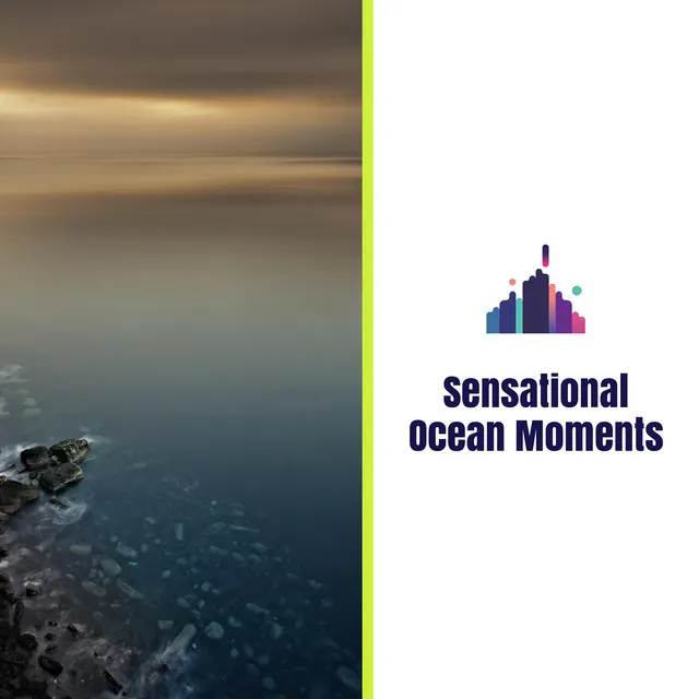 Sensational Ocean Moments