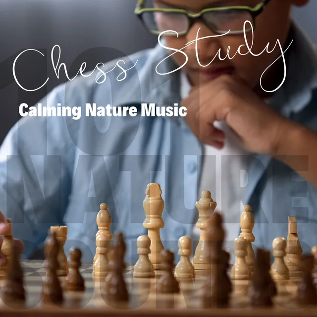 Chess Study - Calming Nature Music