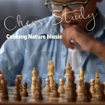 Chess Study - Calming Nature Music by 101 Nature Sounds