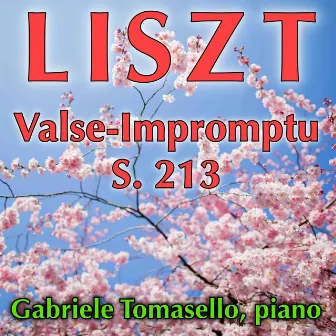 Liszt Valse-Impromptu S. 213 by Gabriele Tomasello