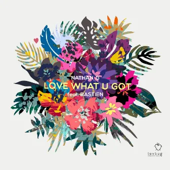 Love What U Got (feat. Bastien) by Nathan G