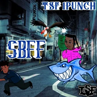 SBFF by TSF 1Punch