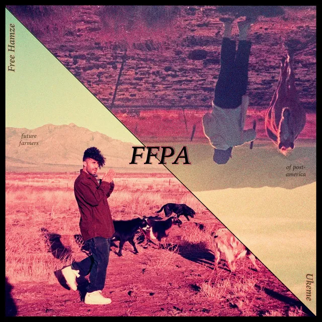 FFPA