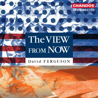 Ferguson: The View from Now by David Ferguson