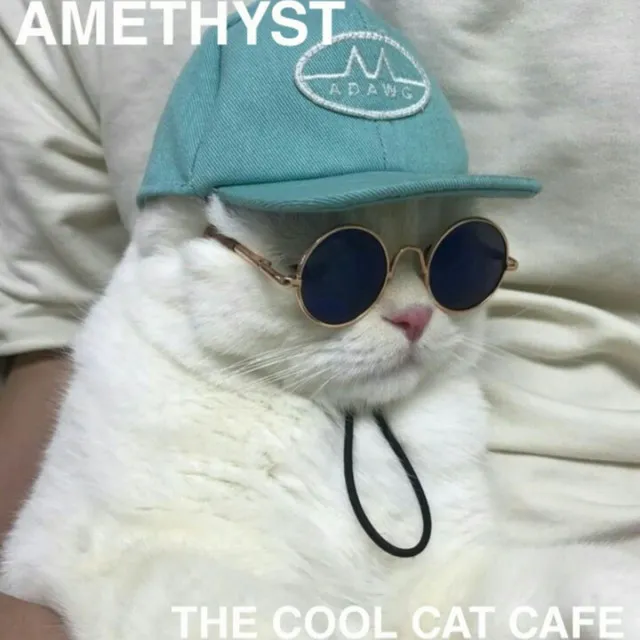 The Cool Cat Cafe