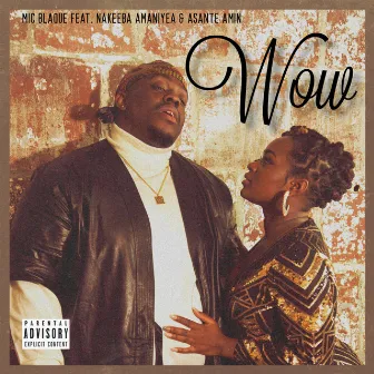 Wow by Mic Blaque