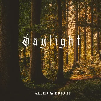 Daylight (Instrumental) by Allen & Bright