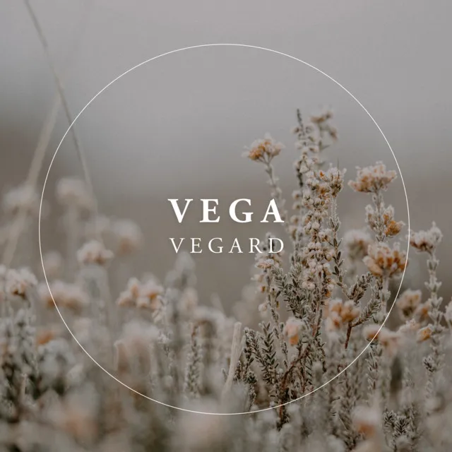 Vega