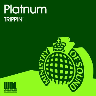 Trippin' by Platnum