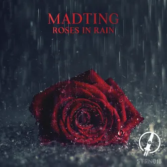 Roses in Rain by MadTing