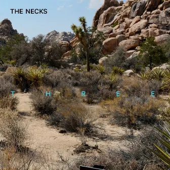 Three by The Necks