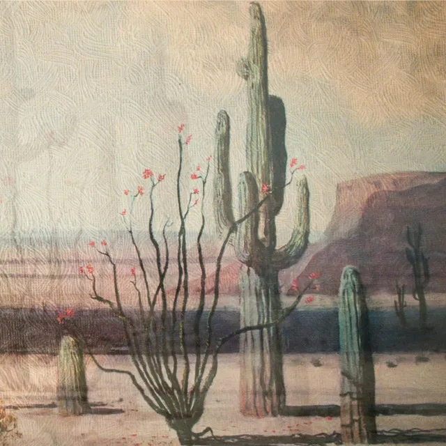 (Below The) Old Saguaro