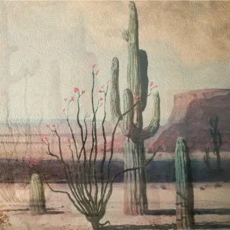 (Below The) Old Saguaro by Neil O'neil