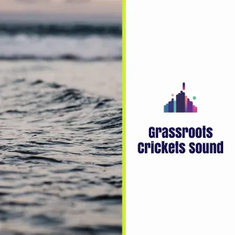 Grassroots Crickets Sound by Sleep Aid White Noise Ocean Music