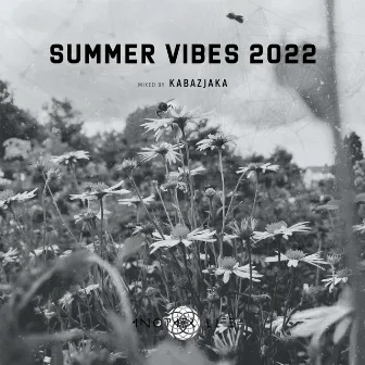 Summer Vibes 2022 (DJ Mix) by Unknown Artist