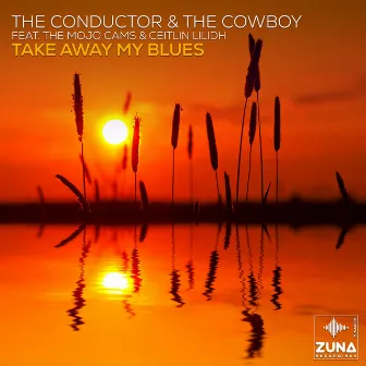 Take Away My Blues by The Conductor & The Cowboy