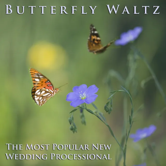 Butterfly Waltz - Piano and Cello