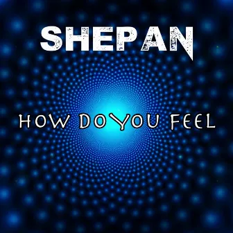 How Do You Feel by Shepan