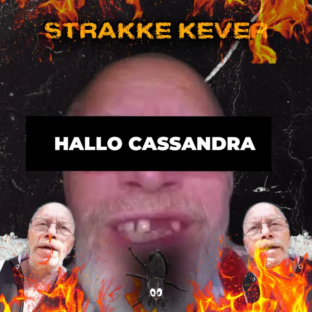 Hallo Cassandra