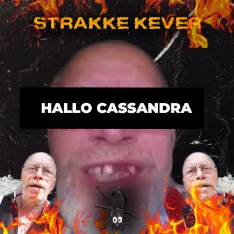 Hallo Cassandra by Strakke Kever