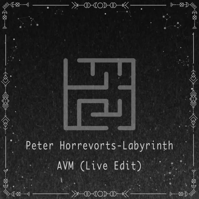 Peter Horrevorts - Labyrinth AVM(Live Edit)