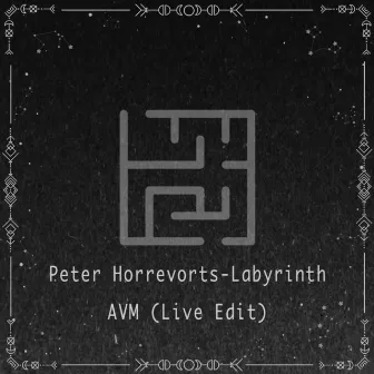 Peter Horrevorts - Labyrinth AVM(Live Edit) by AVM