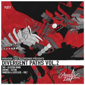 Divergent Paths Vol.2 by TKR