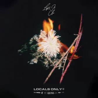 Light It Up by Locals Only Sound