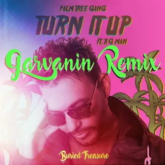 Turn It Up (Garvanin Remix) by Garvanin