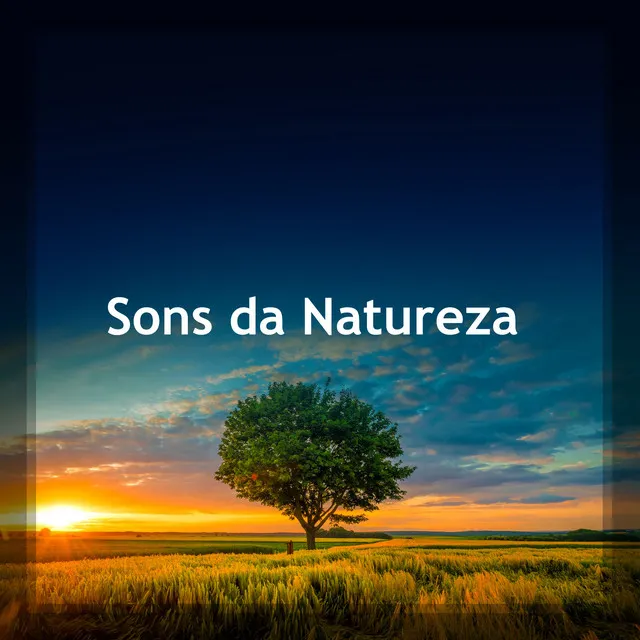 Sons da Natureza