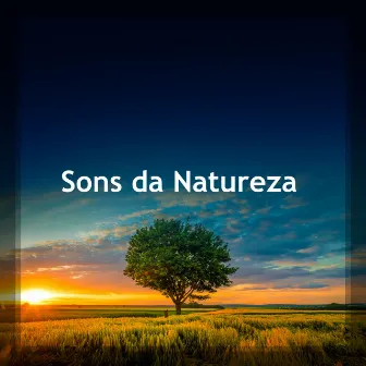 Sons da Natureza by Relaxamento Sons da Natureza Ruído Branco Musicas Clube