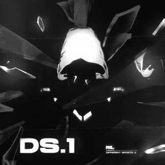 DS.1 by RIL