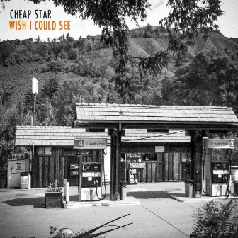 Wish I Could See by Cheap Star