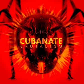 Brutalism (2017 Remaster) by Cubanate