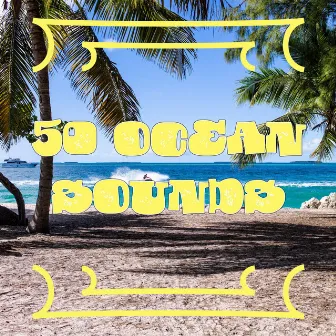 50 Ocean Sounds by Ocean Waves from the Pacific