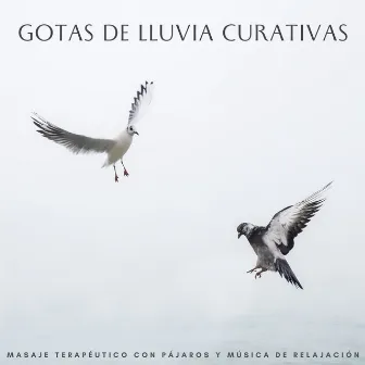 Gotas De Lluvia Curativas: Masaje Terapéutico Con Pájaros Y Música De Relajación by Colección de música de masaje real