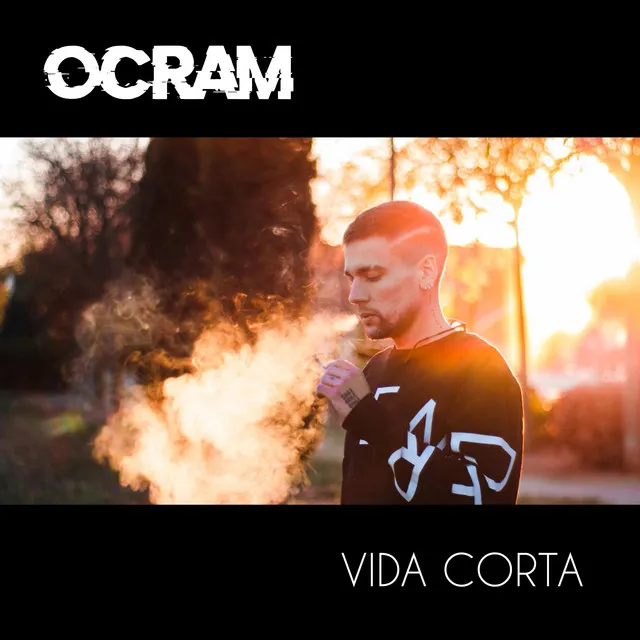 Vida corta