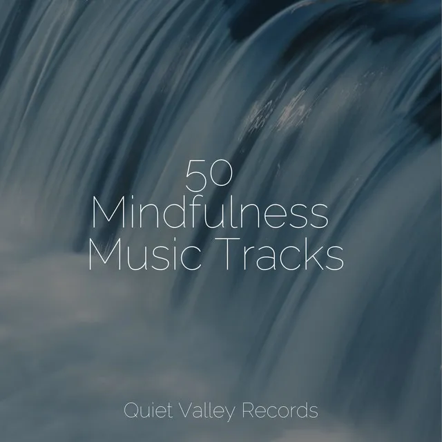 50 Mindfulness Music Tracks