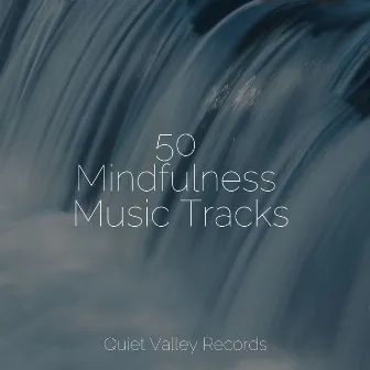 50 Mindfulness Music Tracks by Easy Sleep Music