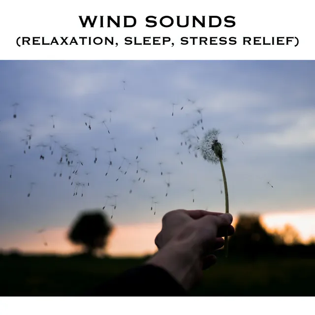 Wind Sounds (Relaxation, Sleep, Stress Relief)