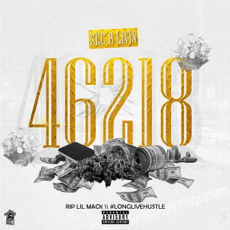 46218 by Sec 8 Livin