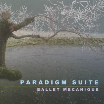 Paradigm Suite by Ballet Mecanique