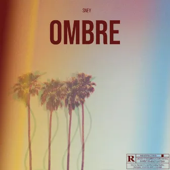 Ombre by Sney