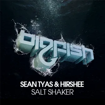 Salt Shaker by Hirshee